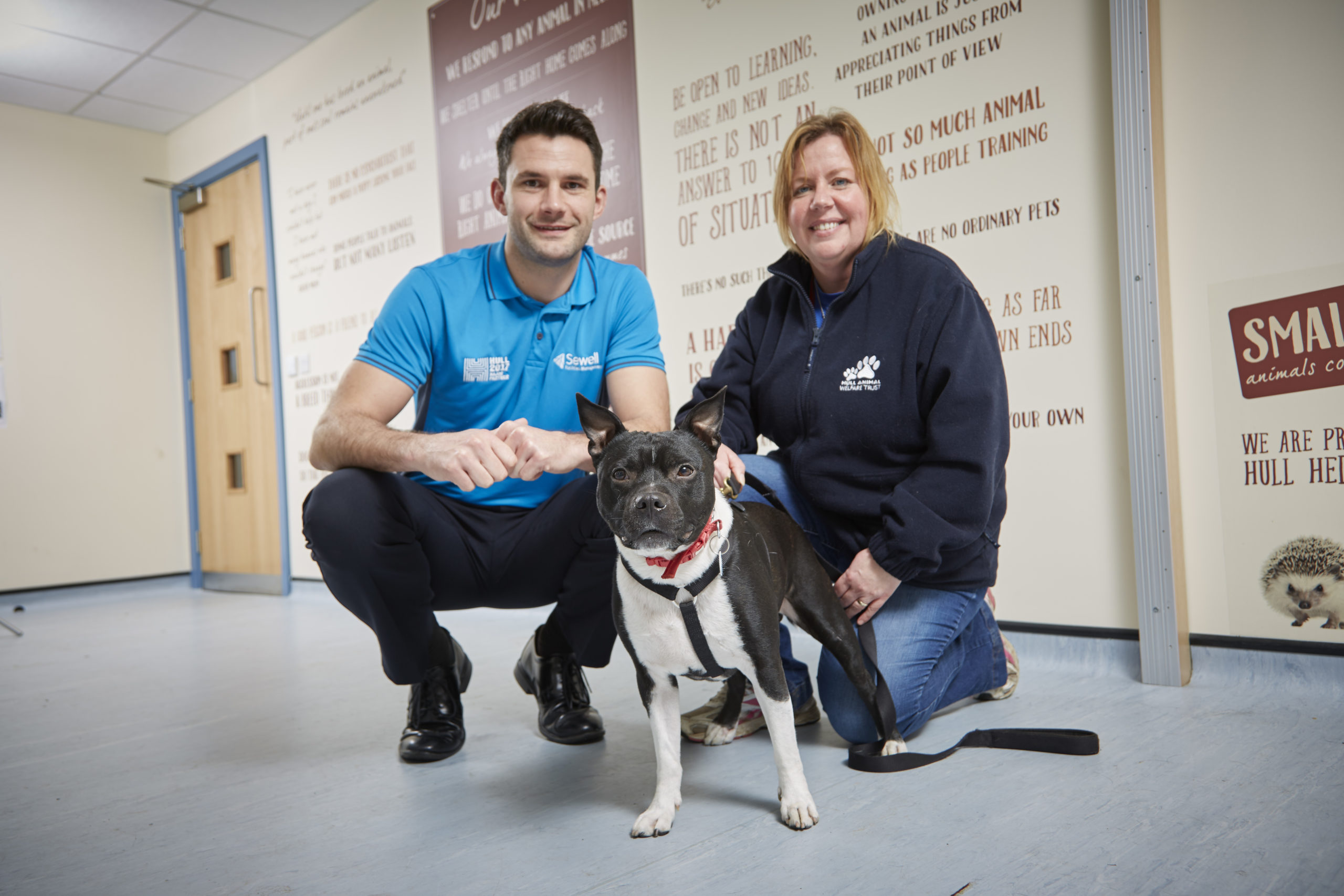 Hull Animal Welfare Trust